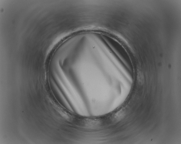 X0000067901270200604271843