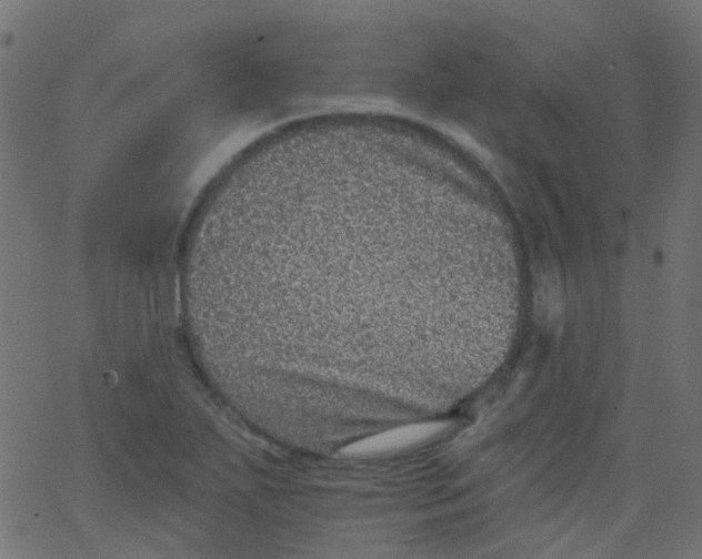 X0000067901271200604271843