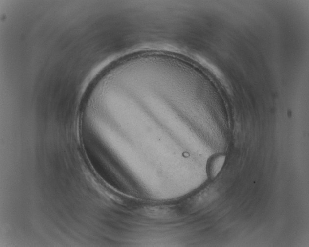 X0000067901272200604271843