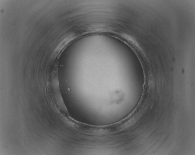 X0000067901273200604271843