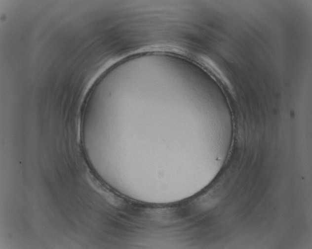 X0000067901276200604271843