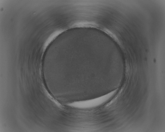 X0000067901277200604271843