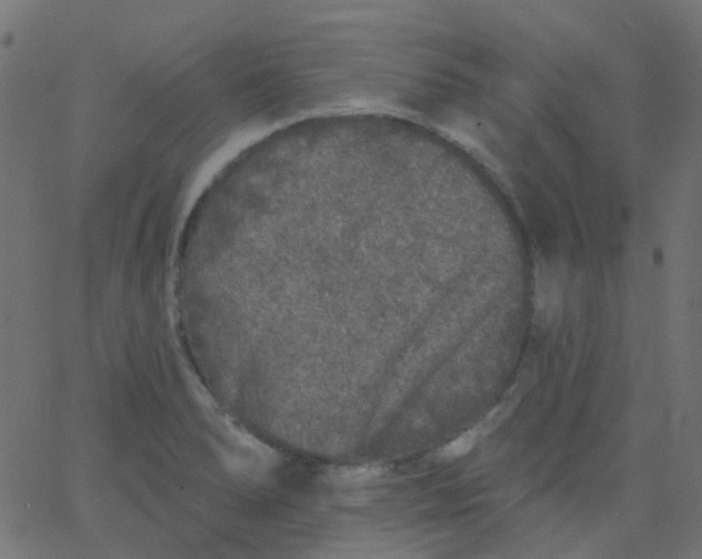 X0000067901278200604271843