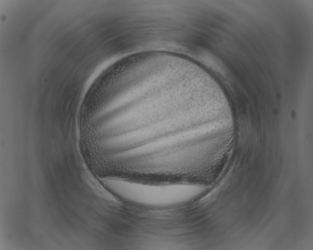 X0000067901280200604271843