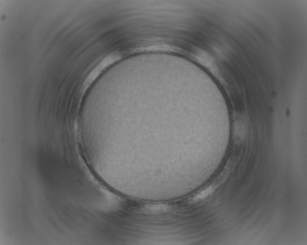 X0000067901282200604271843