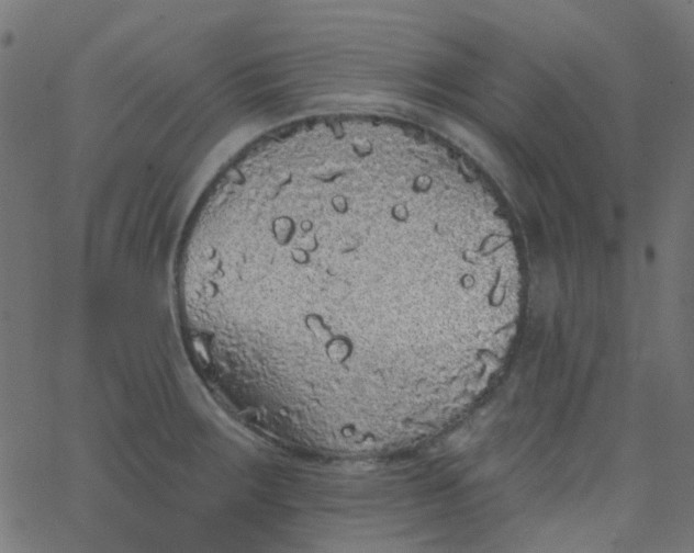 X0000067901283200604271843