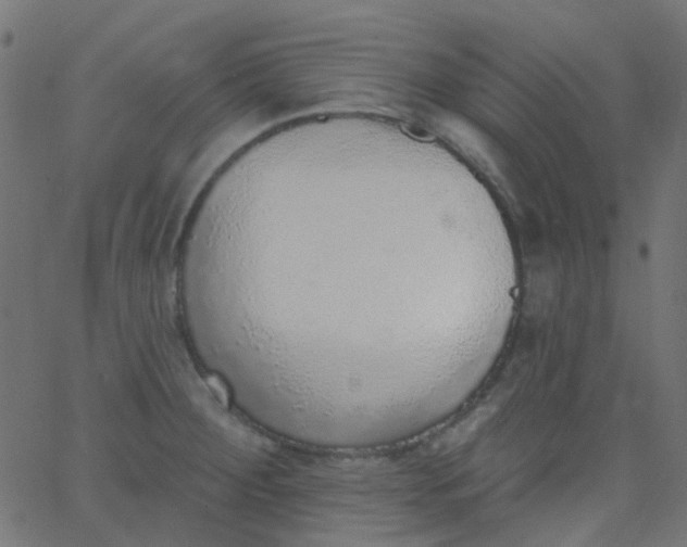 X0000067901284200604271843