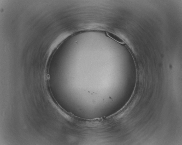 X0000067901285200604271843