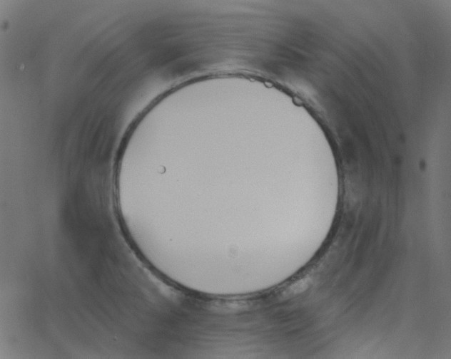 X0000067901286200604271843