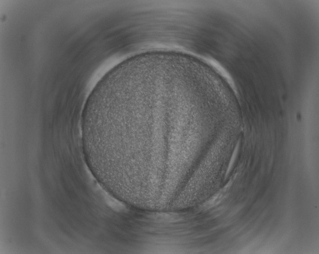 X0000067901287200604271843