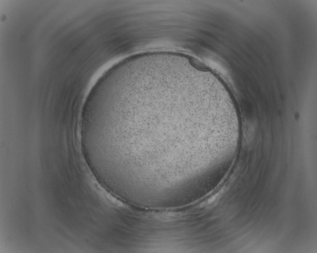 X0000067901288200604271843