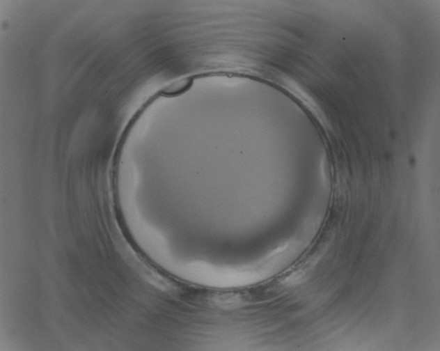 X0000067901291200604271843