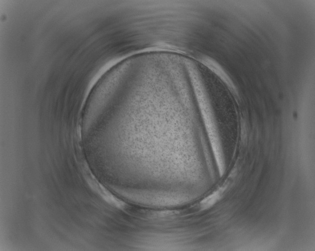 X0000067901292200604271843