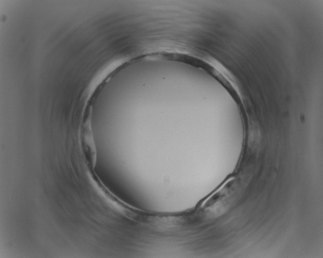 X0000067901293200604271843