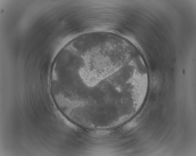 X0000067901294200604271843