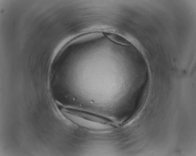 X0000067901296200604271843