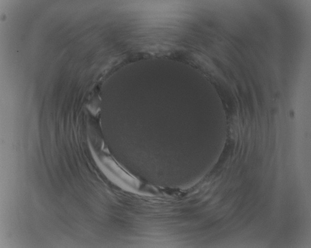 X0000067901298200604271842