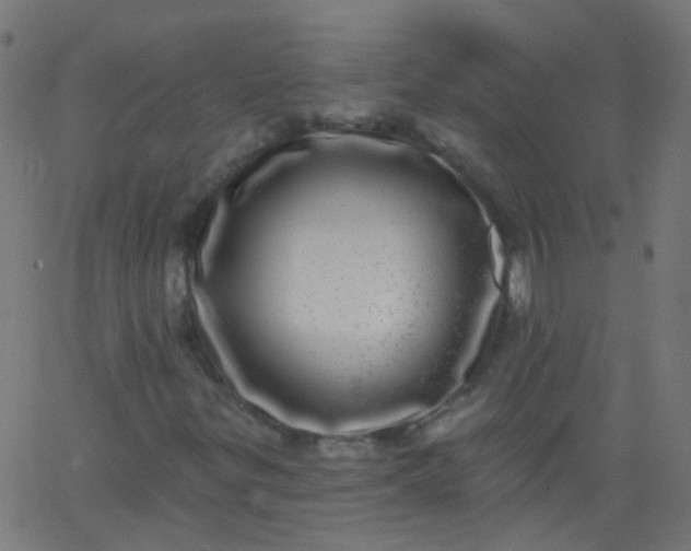 X0000067901299200604271842