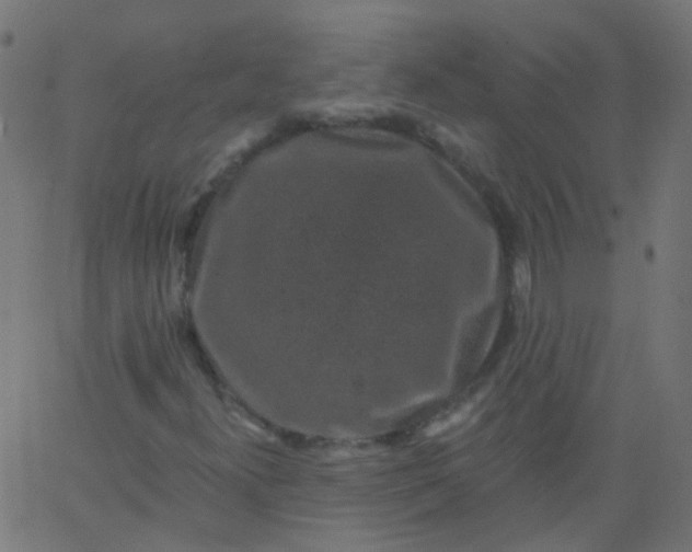 X0000067901300200604271842