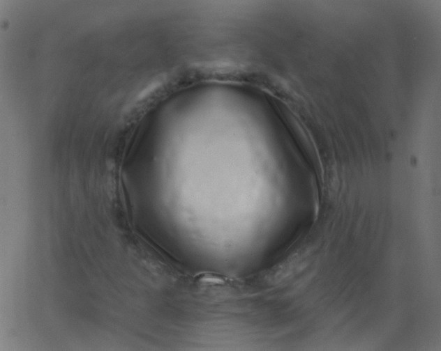 X0000067901301200604271842