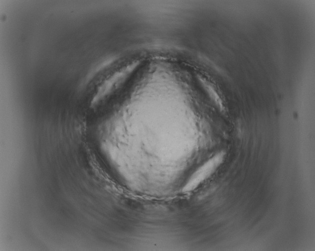 X0000067901302200604271842