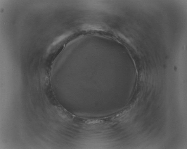 X0000067901303200604271842