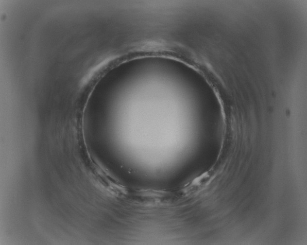 X0000067901304200604271842