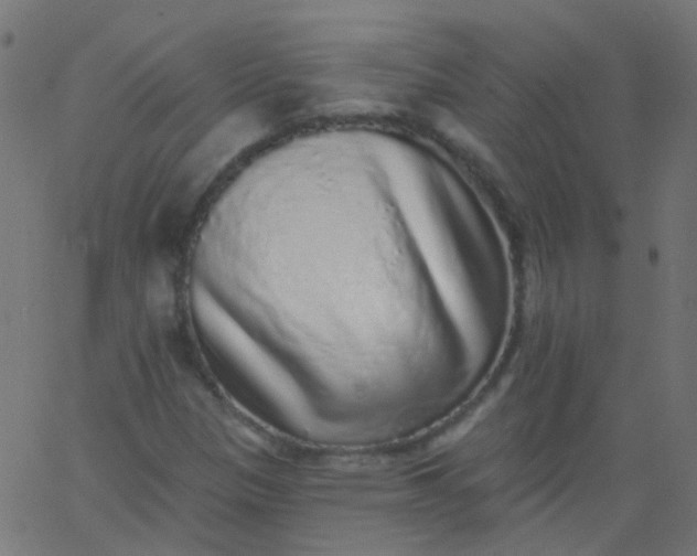 X0000067901305200604271842