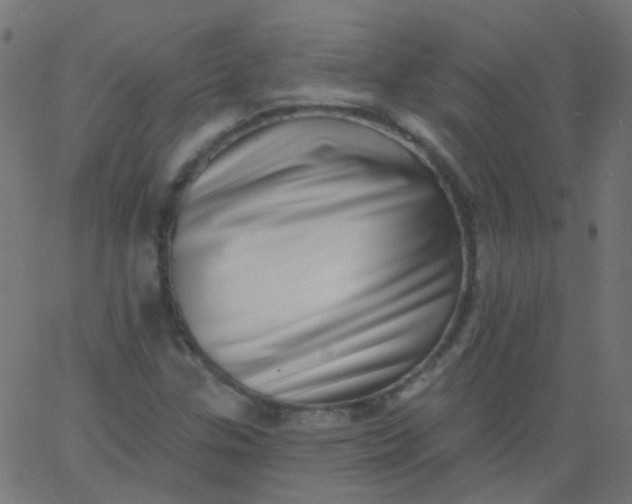 X0000067901307200604271842