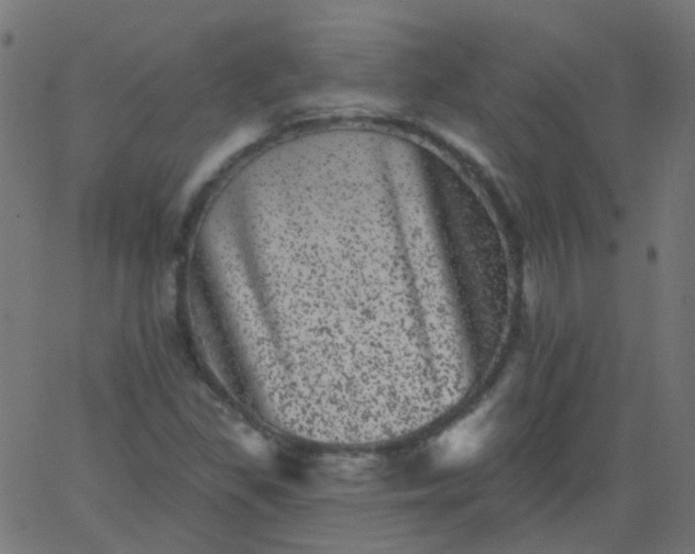 X0000067901309200604271842