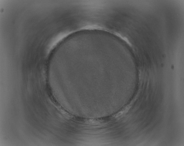 X0000067901311200604271842