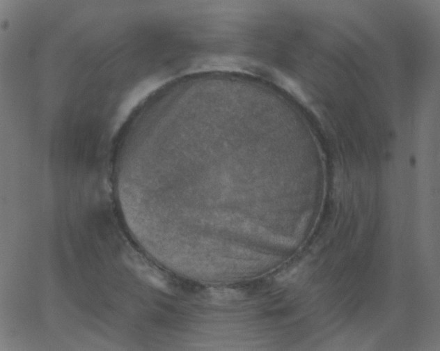 X0000067901312200604271842