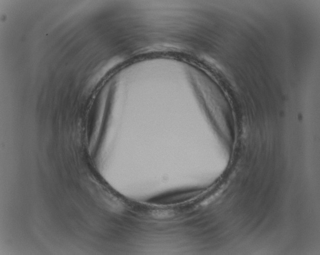 X0000067901313200604271842