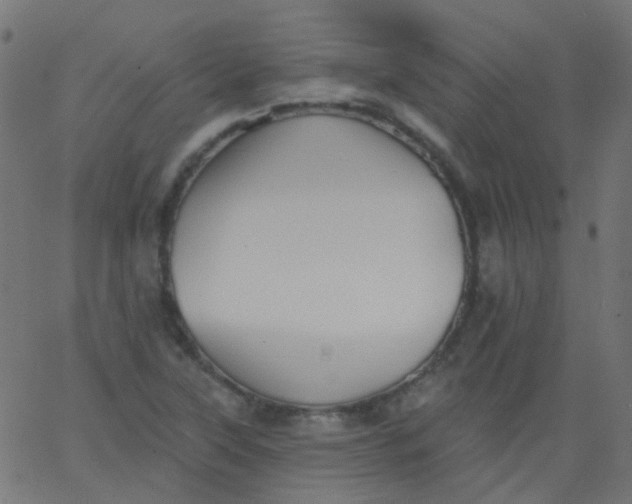 X0000067901315200604271842