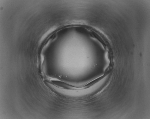 X0000067901317200604271842