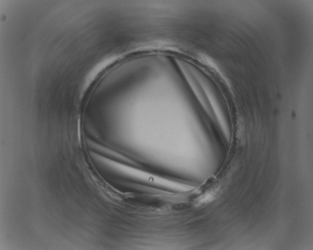 X0000067901320200604271842