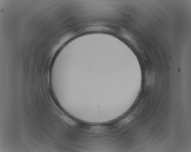 X0000067901322200604271842