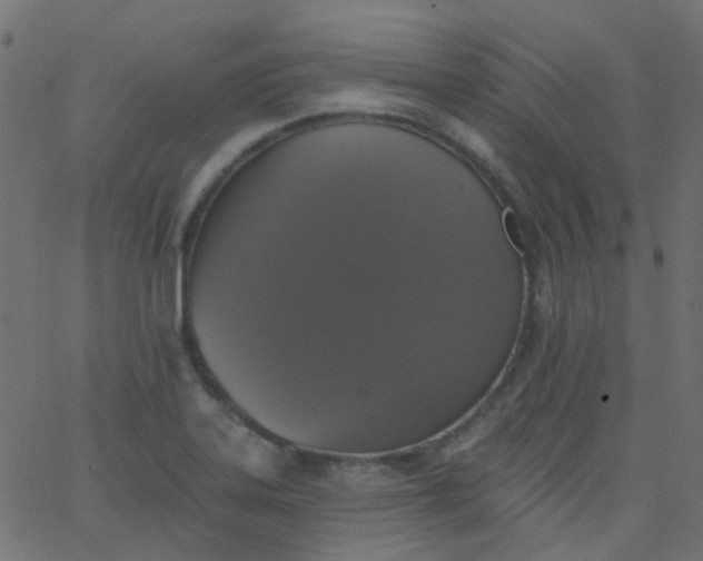 X0000067901323200604271842