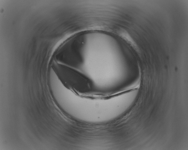 X0000067901324200604271842