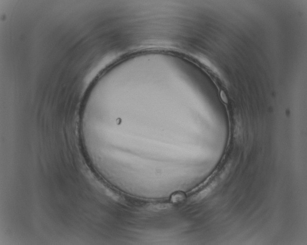 X0000067901325200604271842