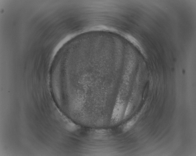 X0000067901326200604271842