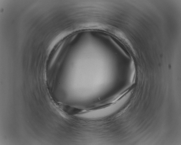 X0000067901328200604271843