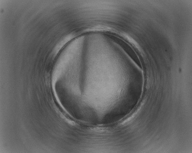 X0000067901329200604271843