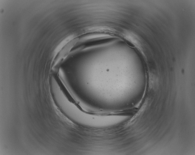 X0000067901330200604271843