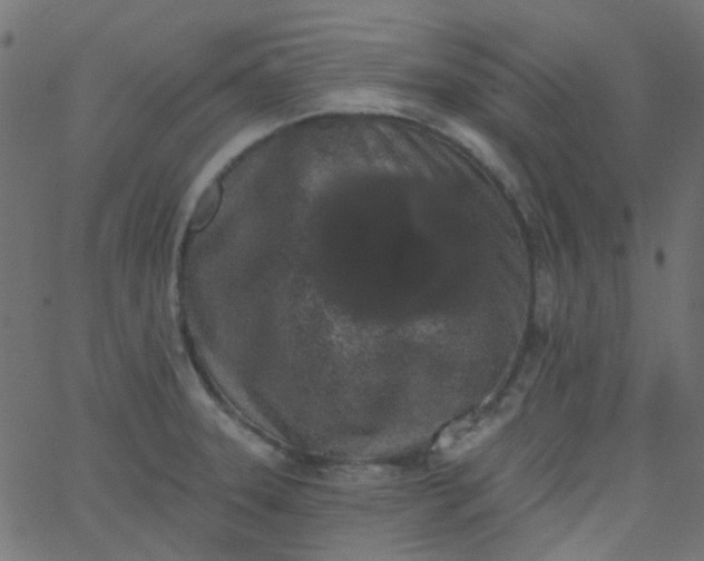 X0000067901331200604271843