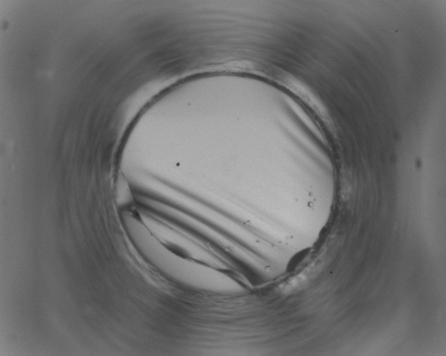 X0000067901332200604271843