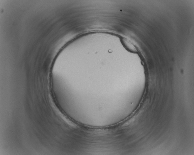 X0000067901333200604271843