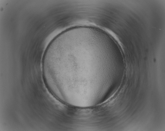 X0000067901335200604271843