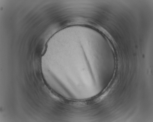 X0000067901337200604271843