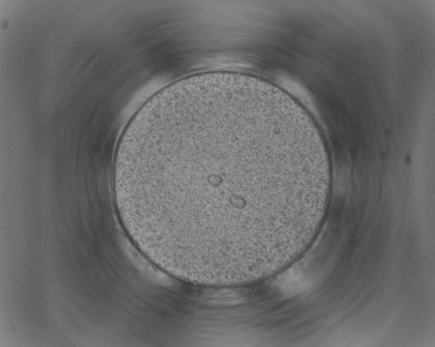 X0000067901338200604271843